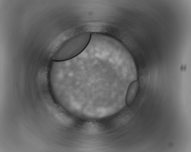 X0000112910207200910051051