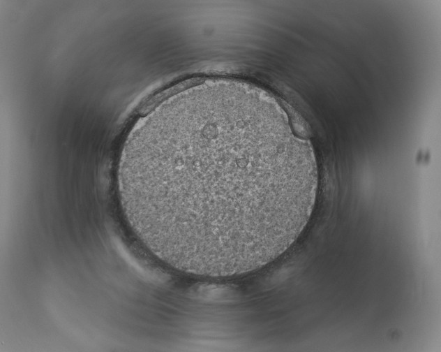 X0000112910208200910051051