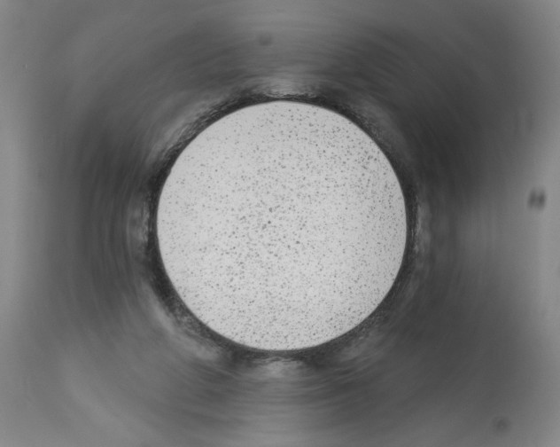 X0000112910210200910051051