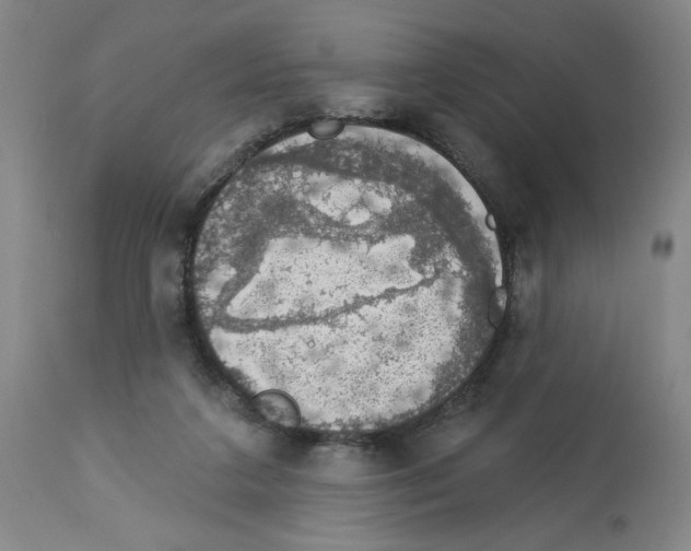 X0000112910211200910051051