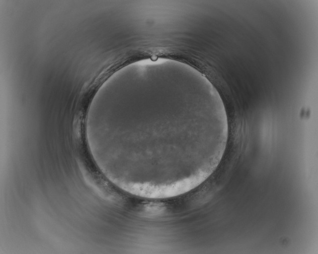 X0000112910214200910051051