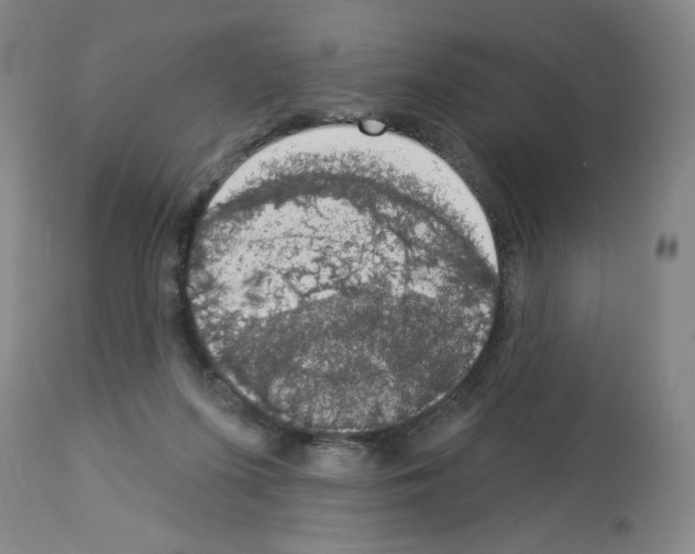 X0000112910215200910051051