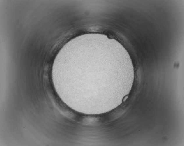 X0000112910217200910051051