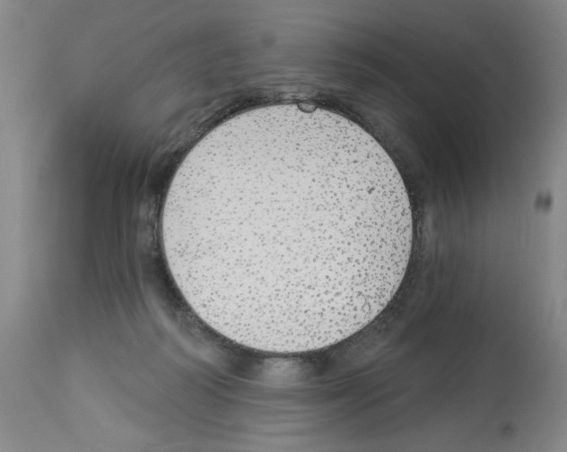 X0000112910218200910051051