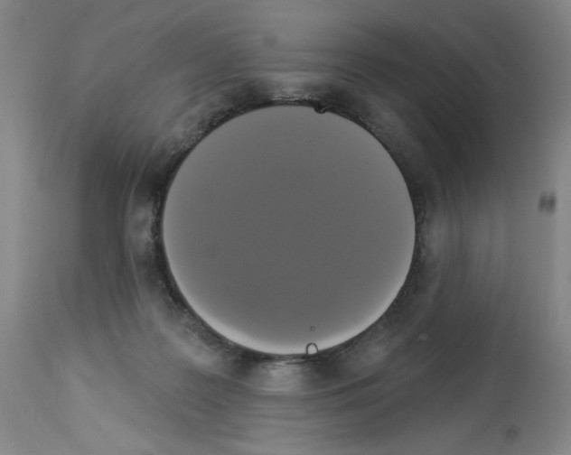 X0000112910219200910051051