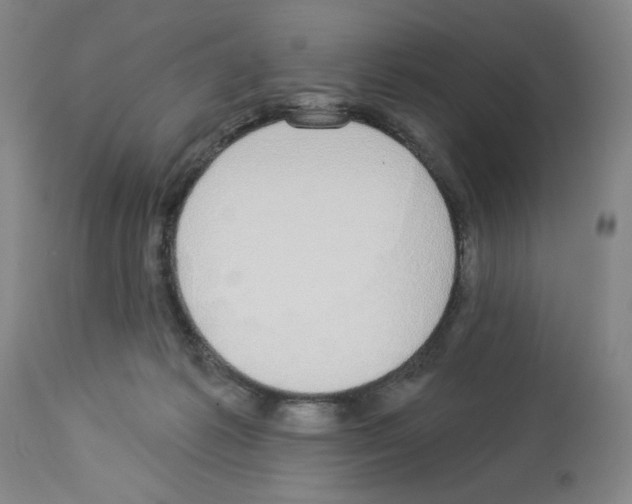 X0000112910221200910051051