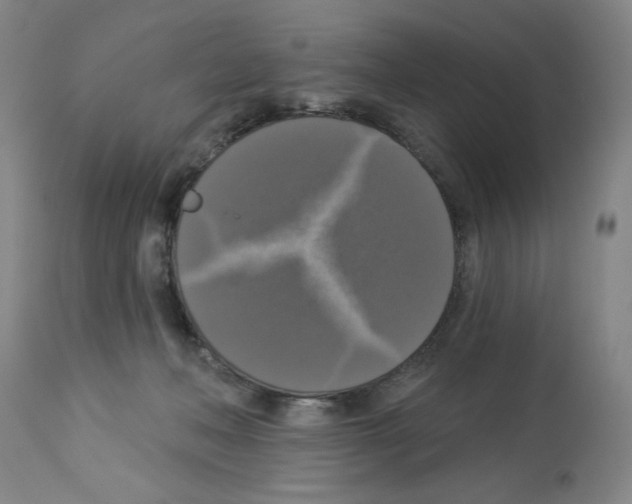 X0000112910222200910051051