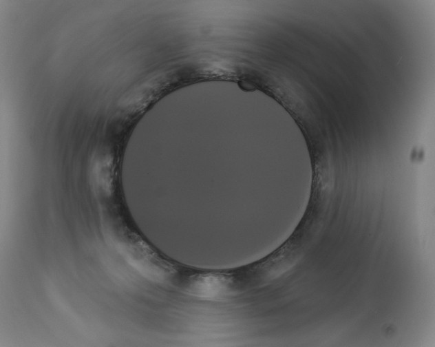 X0000112910223200910051051