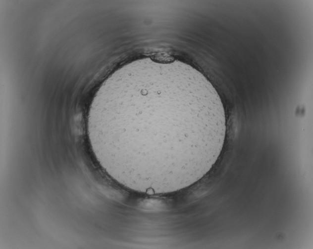 X0000112910224200910051051