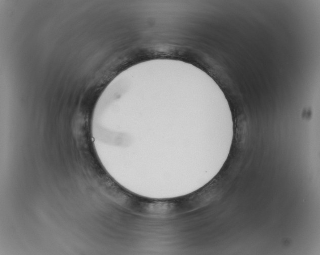 X0000112910225200910051051