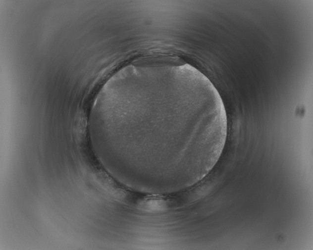 X0000112910228200910051051