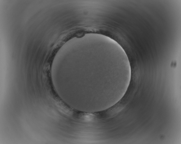 X0000112910229200910051051
