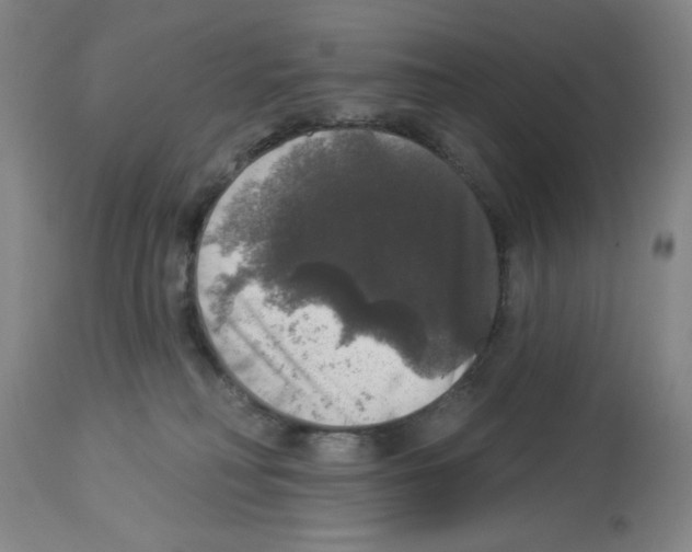 X0000112910230200910051051