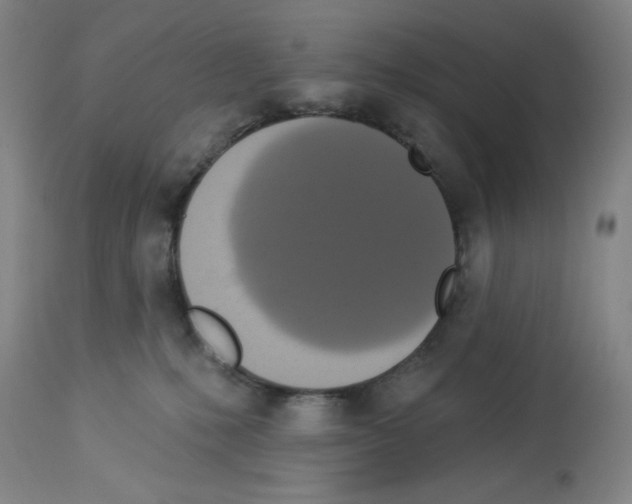 X0000112910231200910051051