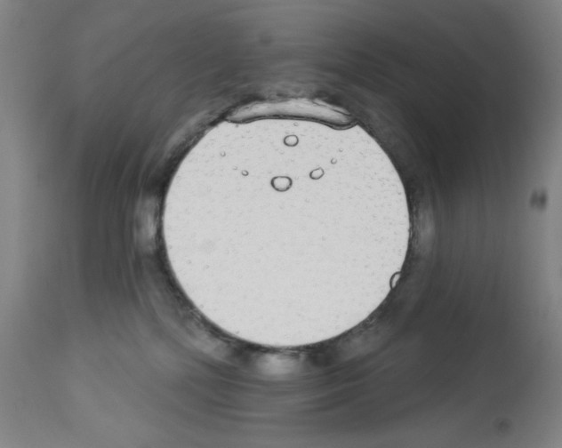 X0000112910232200910051051