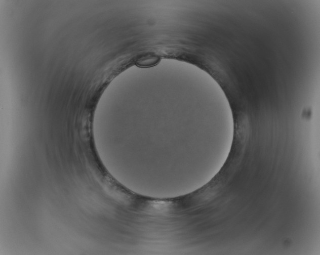 X0000112910233200910051051
