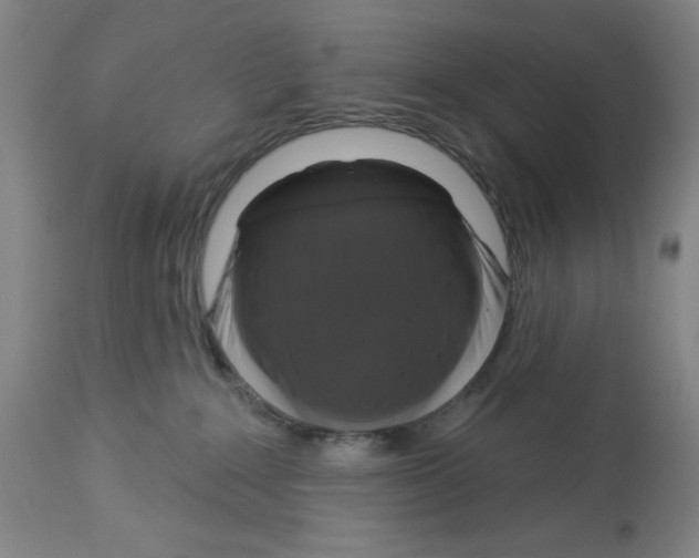 X0000112910235200910051051