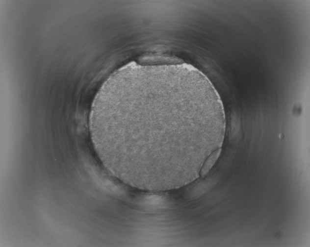 X0000112910236200910051051