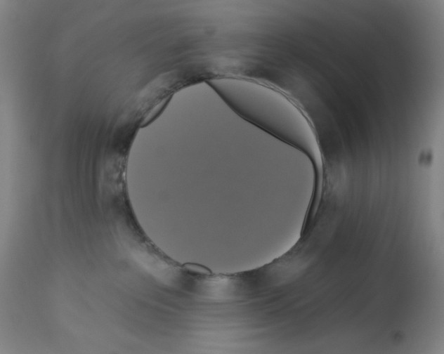 X0000112910237200910051051