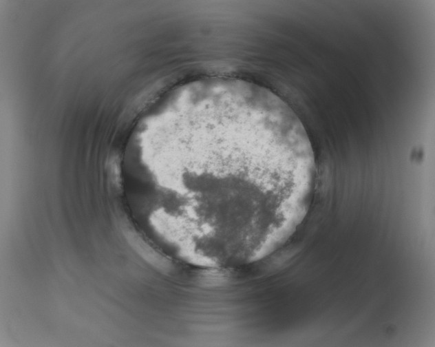 X0000112910238200910051051
