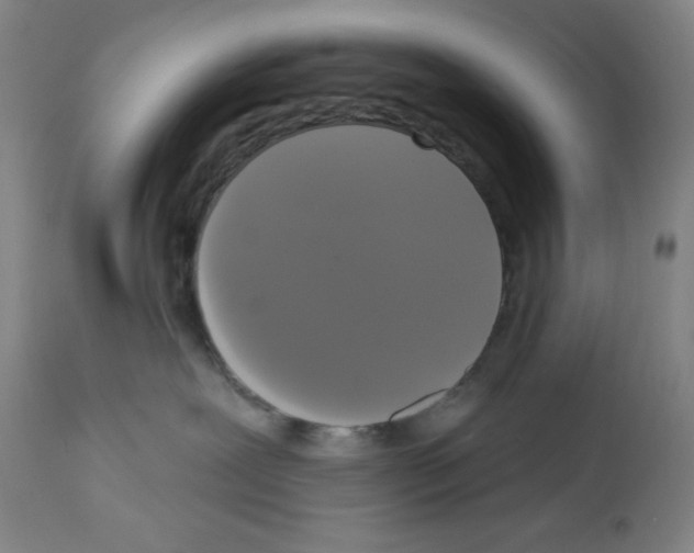 X0000112910239200910051051