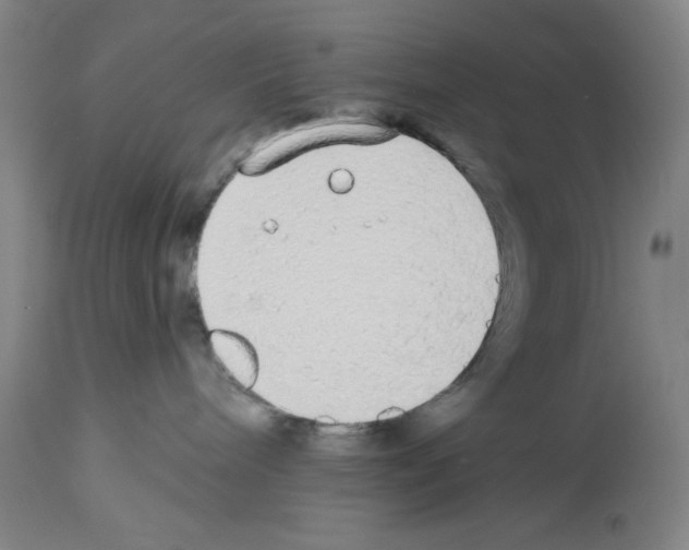 X0000112910240200910051051