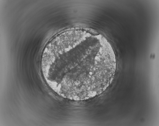 X0000112910241200910051050