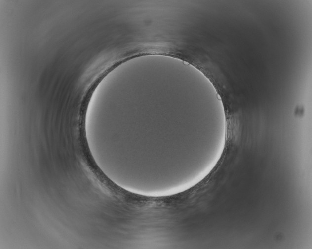 X0000112910243200910051050