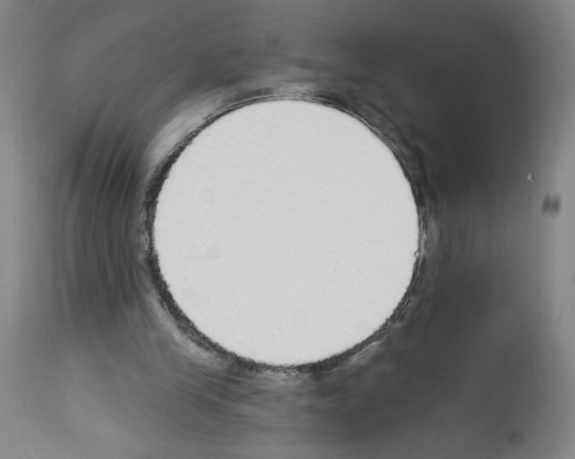 X0000112910245200910051050