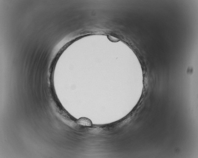 X0000112910246200910051050