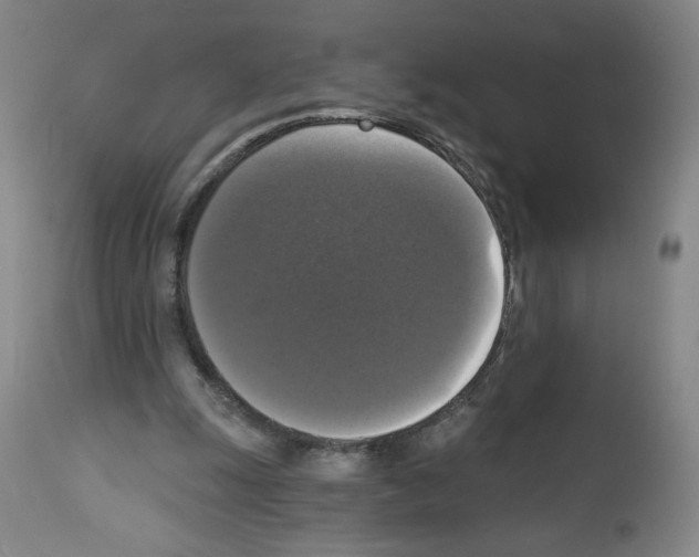 X0000112910247200910051050