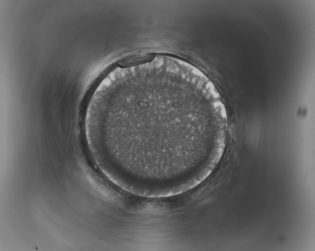 X0000112910248200910051050