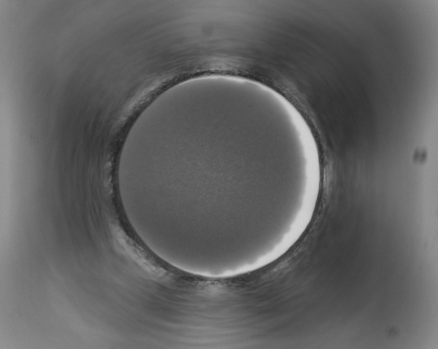 X0000112910249200910051050