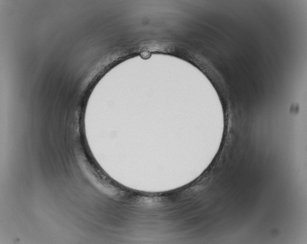 X0000112910250200910051050