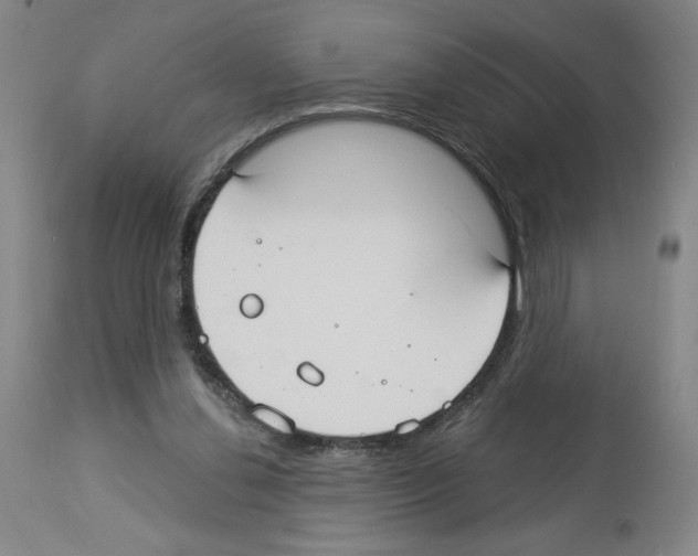 X0000112910252200910051050