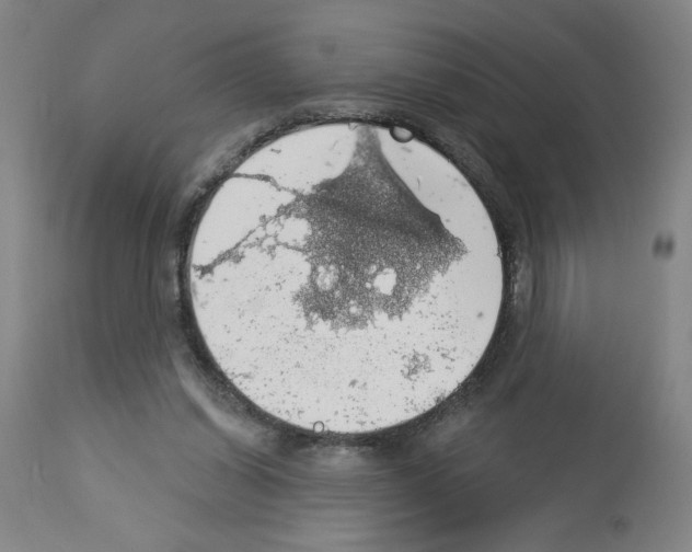 X0000112910254200910051050