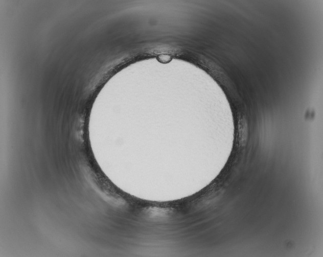 X0000112910255200910051050
