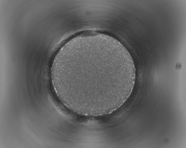 X0000112910256200910051050