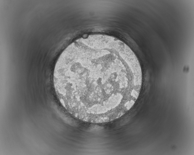 X0000112910257200910051050