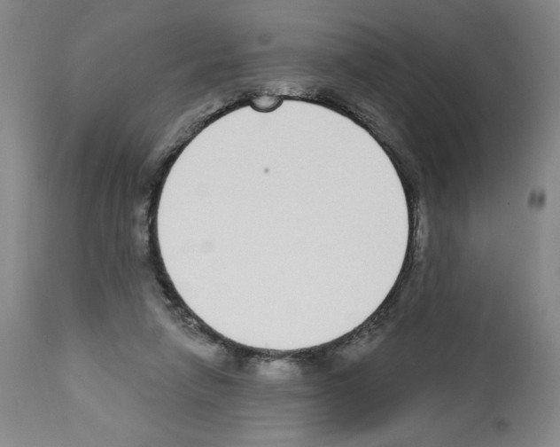 X0000112910258200910051050