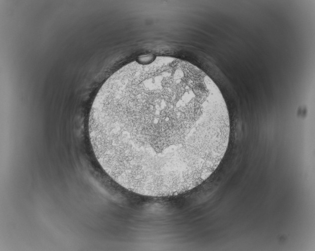 X0000112910259200910051050