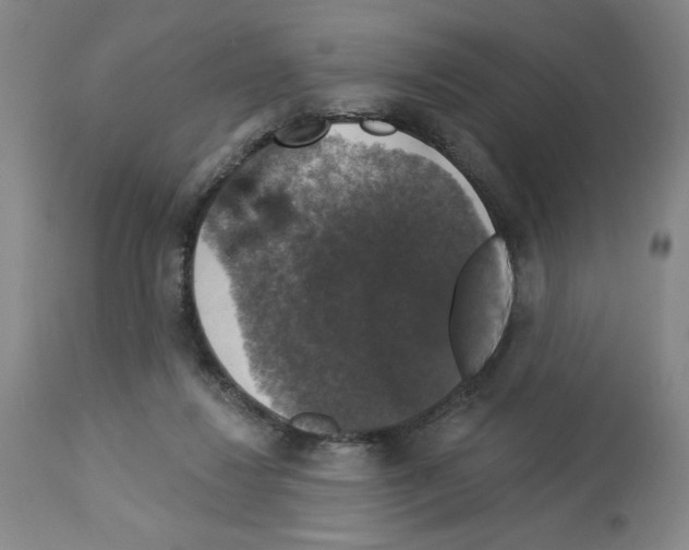 X0000112910260200910051050