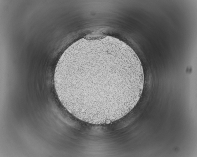 X0000112910261200910051050