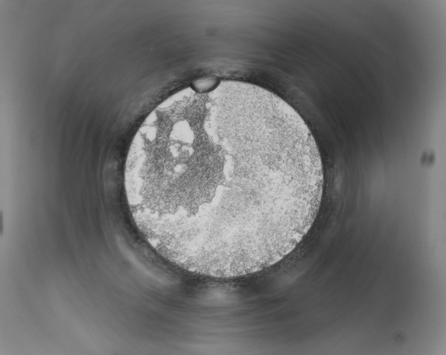 X0000112910263200910051050