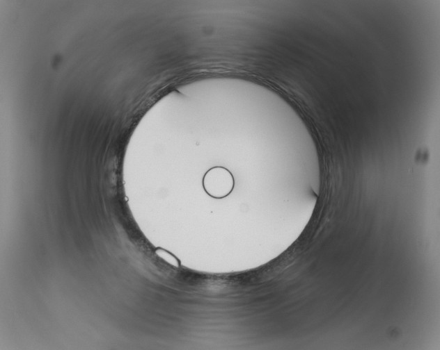 X0000112910264200910051050