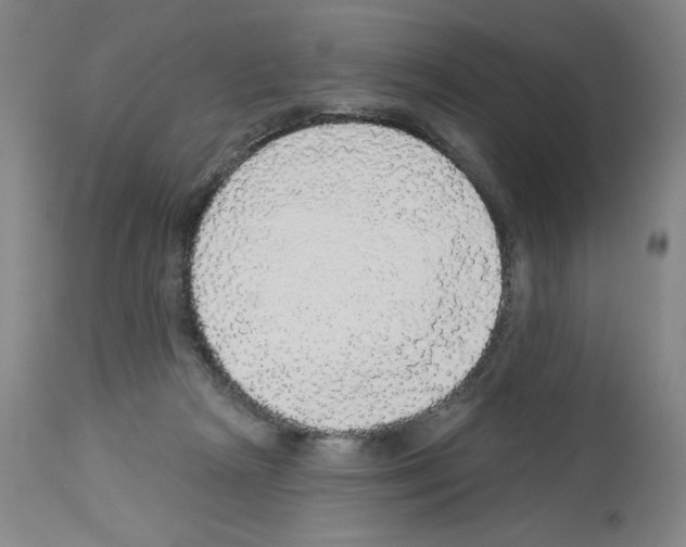 X0000112910265200910051050