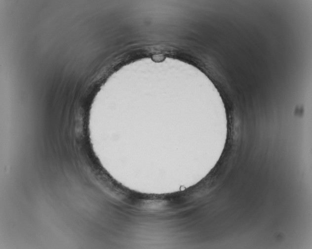 X0000112910266200910051050