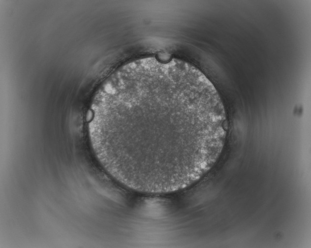 X0000112910268200910051051