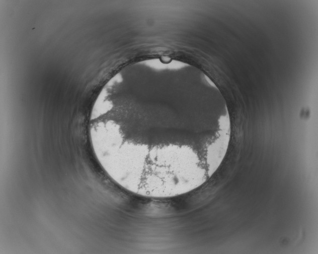 X0000112910270200910051051