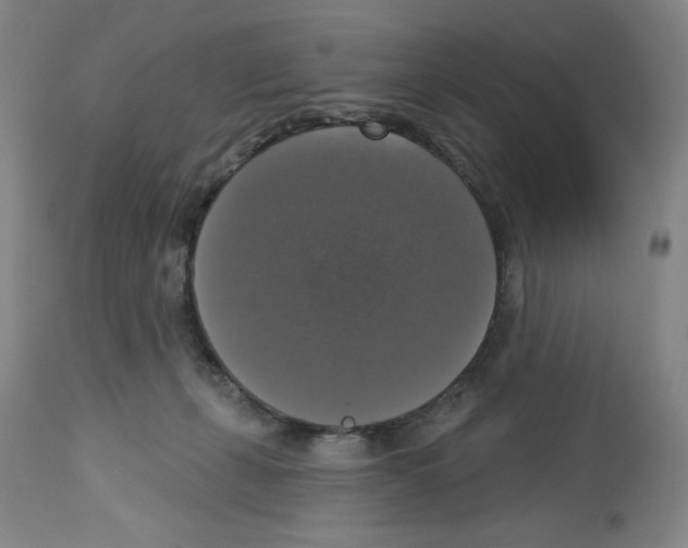 X0000112910271200910051051